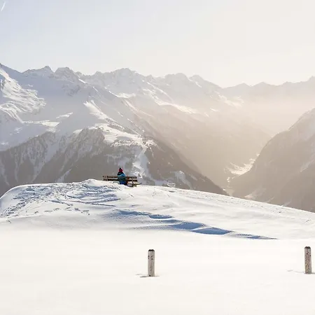 فندق Zum Gruenen Tor تكس