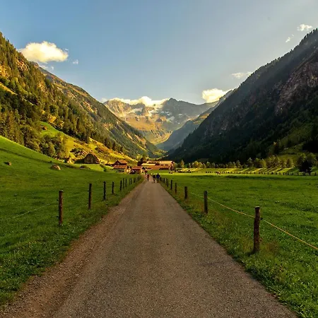 فندق Zum Gruenen Tor