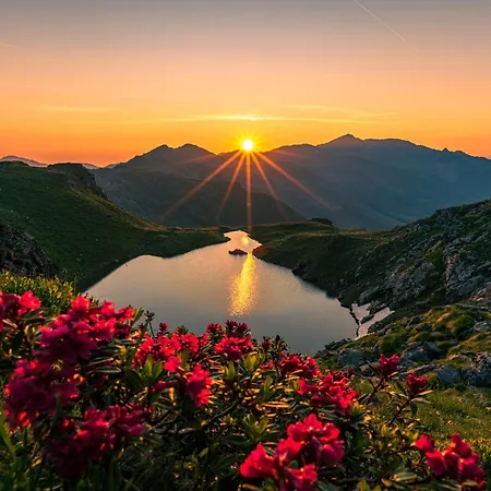 Zum Gruenen Tor 3* تكس