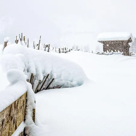 Zum Gruenen Tor فندق 3*