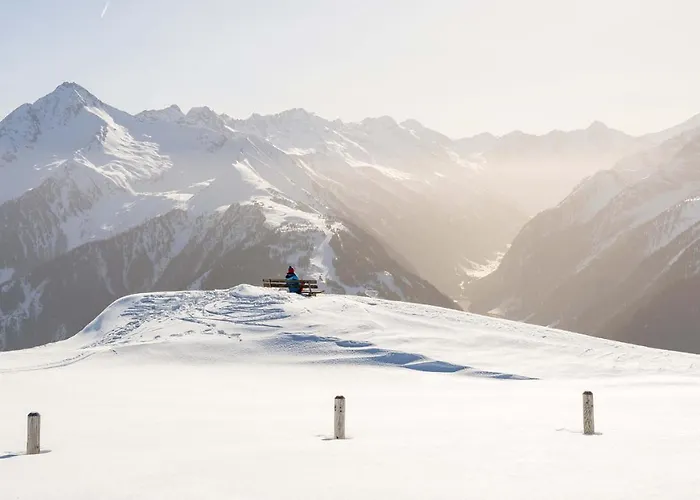 فندق Zum Gruenen Tor تكس