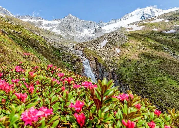 Zum Gruenen Tor 3* تكس