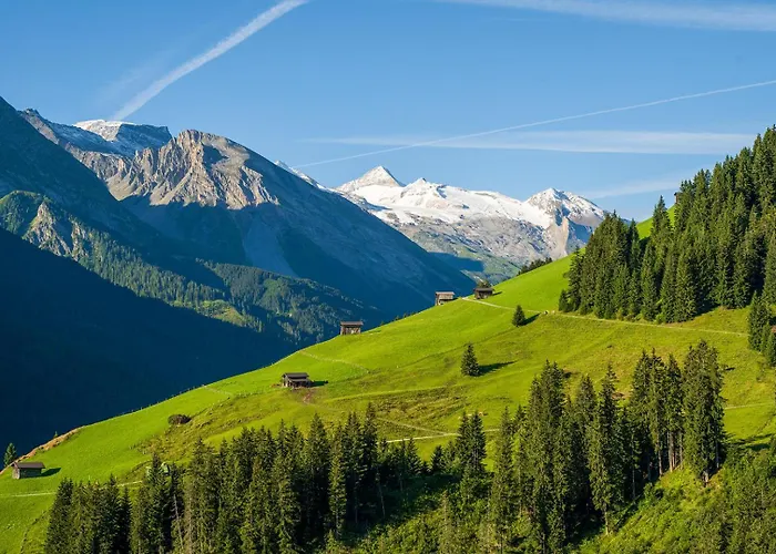 Zum Gruenen Tor فندق