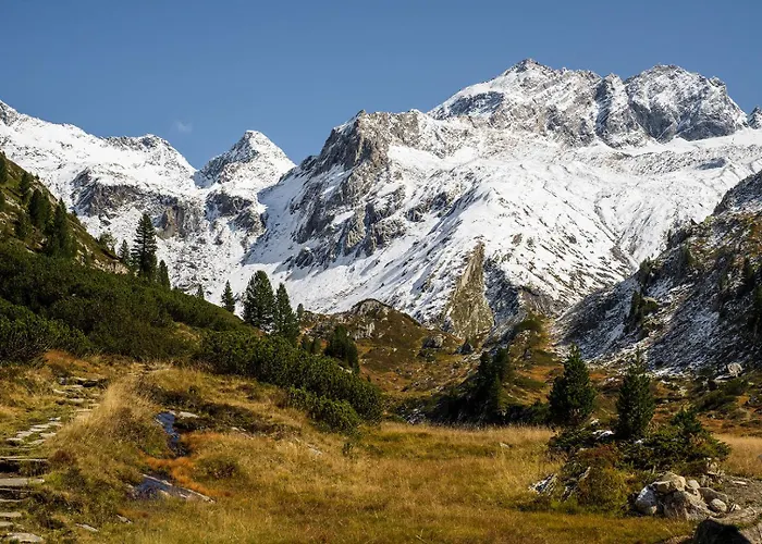 فندق Zum Gruenen Tor تكس