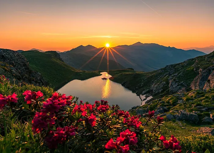 Zum Gruenen Tor 3* تكس