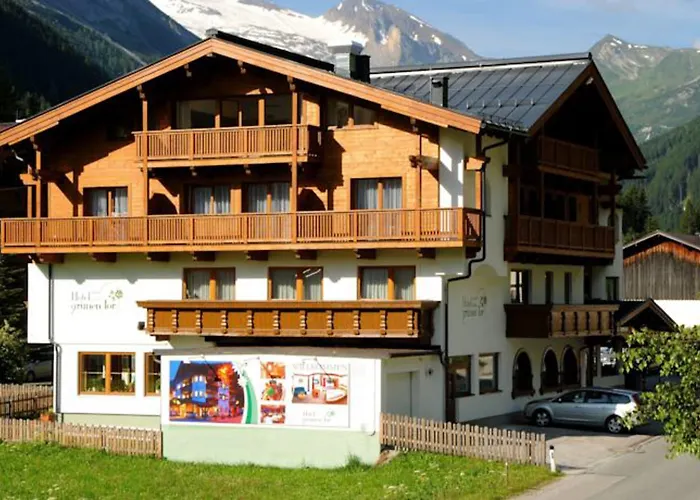 Zum Gruenen Tor 3* تكس