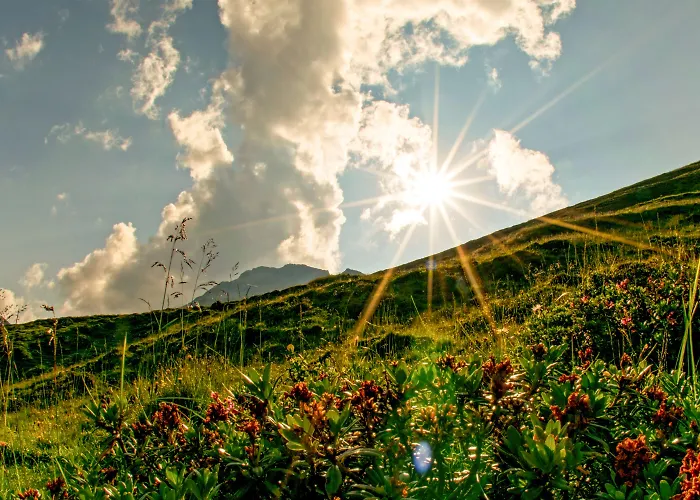 فندق Zum Gruenen Tor تكس