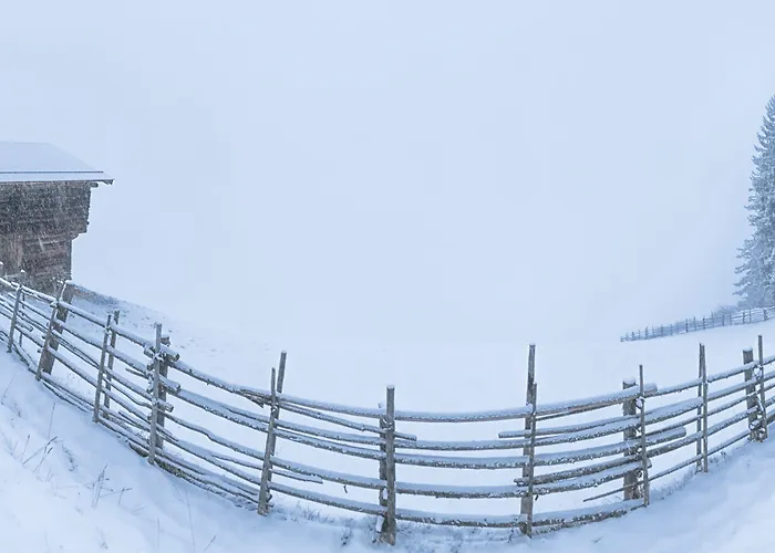 فندق Zum Gruenen Tor 3*